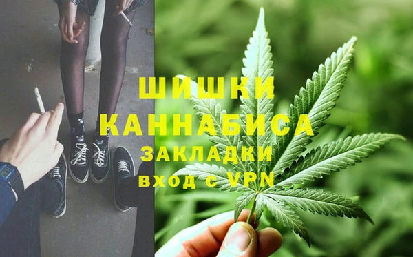соль ск Алзамай