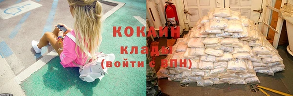 соль ск Алзамай