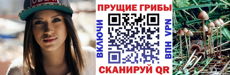 OMG вход Белоярский Галлюциногенные грибы мухоморы